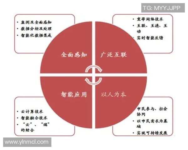 以足球为中心探讨足球文化发展与全球影响的未来趋势分析研究探索