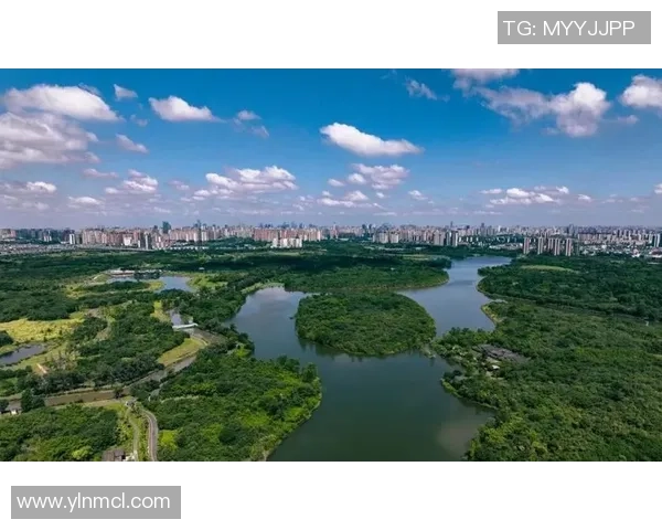 成都蓉城发展新机遇探索 聚焦高质量建设与未来城市愿景
