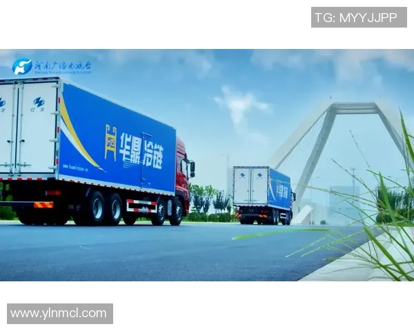 电竞热潮引领数字时代青年文化与科技创新融合发展新趋势