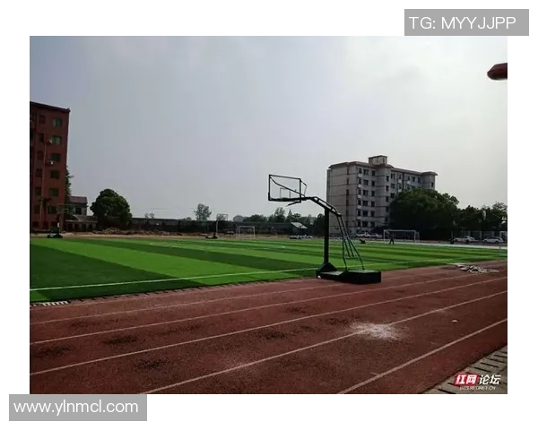 益阳队足球崛起之路展现地方体育精神与青年力量融合发展